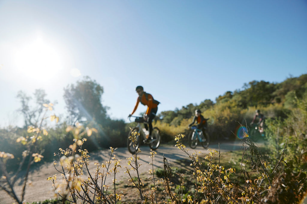 A Complete Guide To The Different Types Of Cycling
